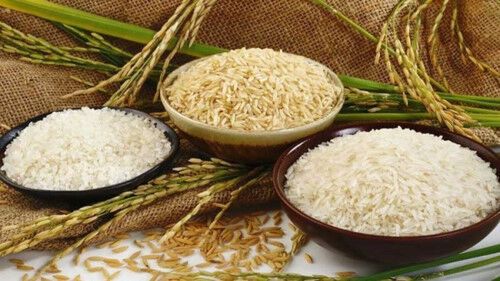 Gạo hữu cơ Việt sẽ có mặt tại New Zealand vào năm 2019