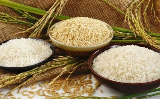 Gạo hữu cơ Việt sẽ có mặt tại New Zealand vào năm 2019