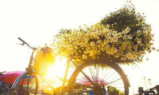 Dự báo thời tiết 16/11: Hà Nội nắng ráo, Nam bộ mưa dông