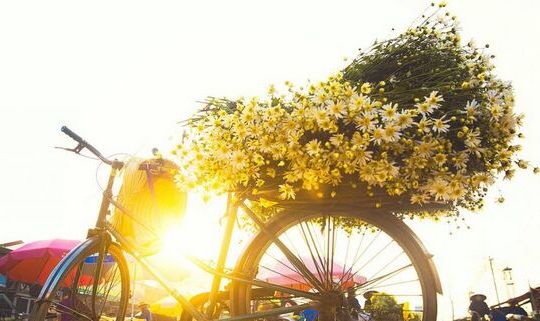 Dự báo thời tiết 16/11: Hà Nội nắng ráo, Nam bộ mưa dông