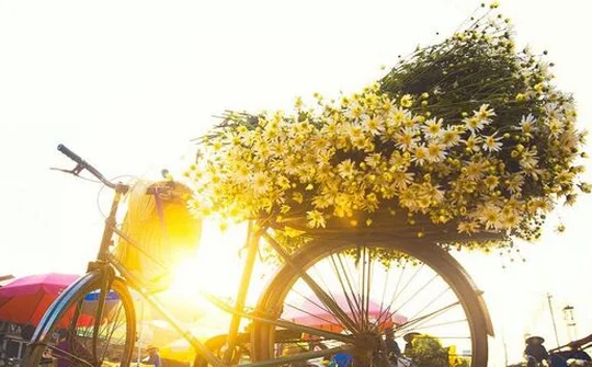 Dự báo thời tiết 16/11: Hà Nội nắng ráo, Nam bộ mưa dông