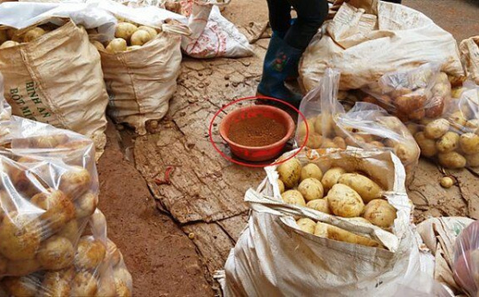 Bộ Công Thương lên tiếng về nông sản 'đội lốt' hàng Việt