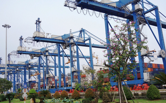 Cảng Tân Cảng Cát Lái nhận giải thưởng Cảng Xanh