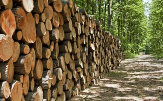 Ngừng tạm nhập, tái xuất gỗ rừng tự nhiên từ Lào và Campuchia