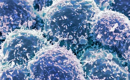 Dùng virus để điều trị ung thư