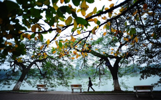 Dự báo thời tiết ngày 21/11: Bắc Bộ xuất hiện mưa rào, trời chuyển rét về đêm