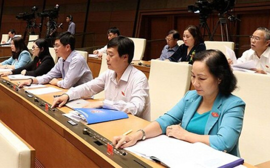 Không phân biệt bằng đại học chính quy và tại chức