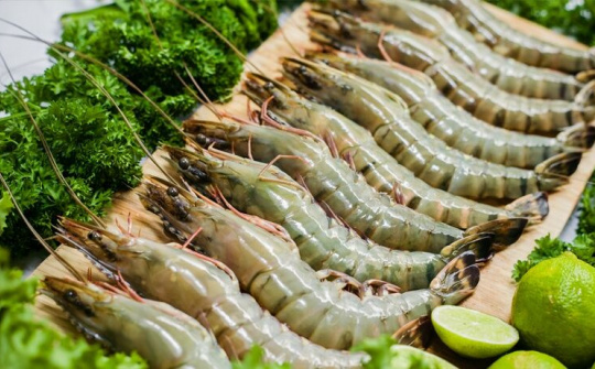 Tôm Việt Nam có nhiều cơ hội xuất khẩu vào thị trường Canada