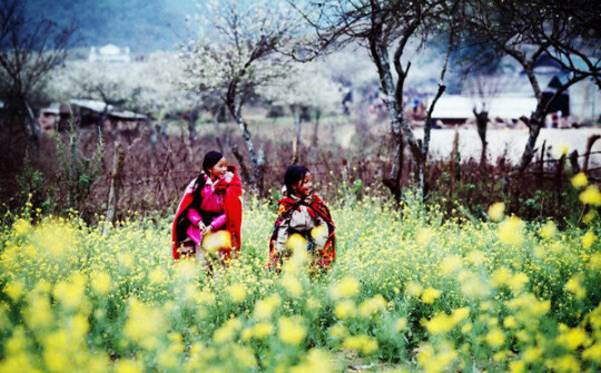 Dự báo thời tiết 22/11: Nhiệt độ miền Bắc giảm mạnh, trời rét, có nơi dưới 13 độ