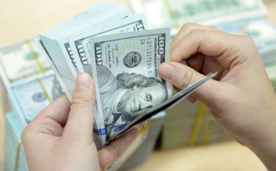 Quy định điều tra thống kê tiền tệ, ngân hàng và ngoại hối