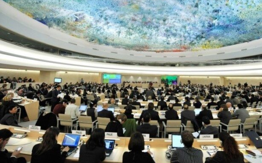 LHQ thảo luận vai trò của nghị viện với việc thúc đẩy quyền con người