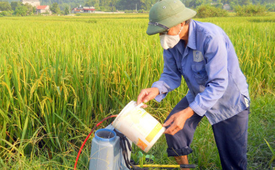 Sửa quy định quản lý và sử dụng phí trong lĩnh vực bảo vệ thực vật