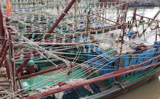 Hải Phòng: Hàng trăm tàu cá bị 'nhốt' tại cảng do lưới điện cao thế