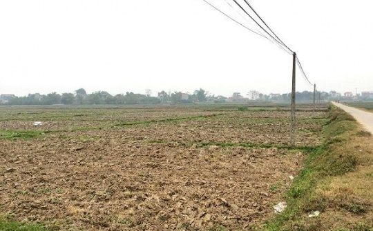 Chuyển mục đích sử dụng đất tại Bắc Giang