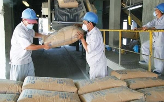 Rà soát, báo cáo Thủ tướng về phản ánh báo động dư nguồn cung xi măng