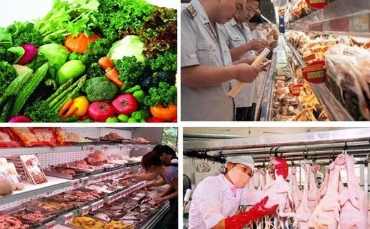 Xây dựng hệ thống thông tin an toàn thực phẩm