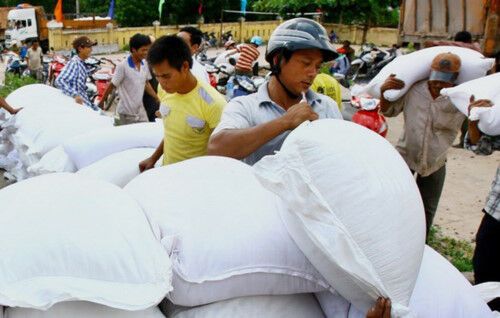 Hỗ trợ hơn 401 tấn gạo cho tỉnh Bình Định