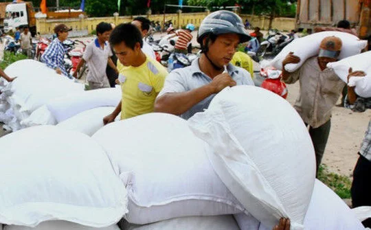 Hỗ trợ hơn 401 tấn gạo cho tỉnh Bình Định