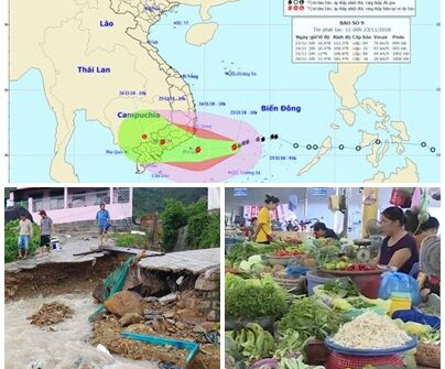 Chỉ đạo, điều hành của Chính phủ, Thủ tướng Chính phủ nổi bật tuần qua