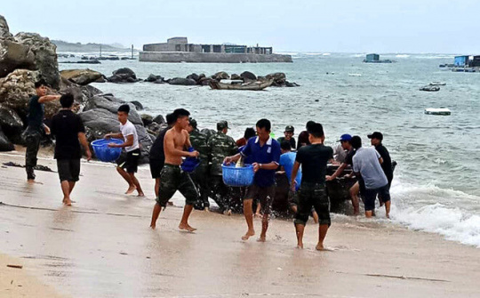 Cập nhật ngày 24/11: Tin bão khẩn cấp và công điện chỉ đạo ứng phó
