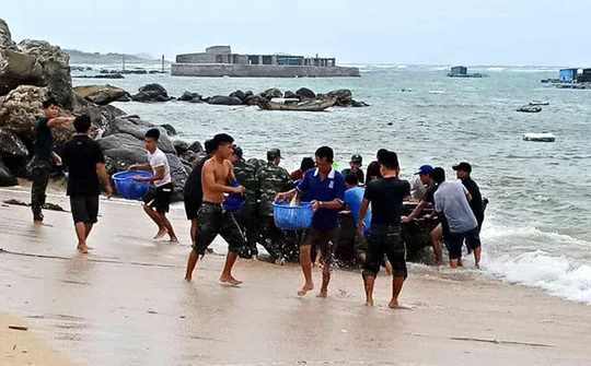 Cập nhật ngày 24/11: Tin bão khẩn cấp và công điện chỉ đạo ứng phó