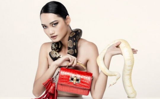 Ngắm trọn bộ ảnh ấn tượng của Top 10 The Face Vietnam