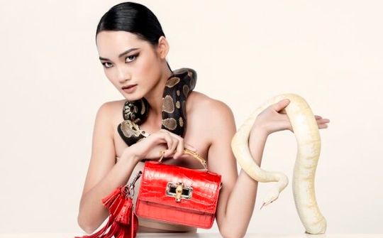 Ngắm trọn bộ ảnh ấn tượng của Top 10 The Face Vietnam