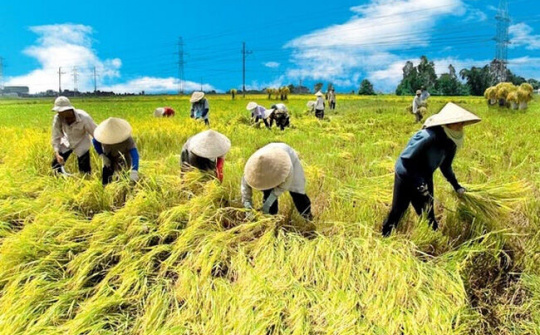 Tiếp tục đổi mới, nâng cao hiệu quả kinh tế tập thể