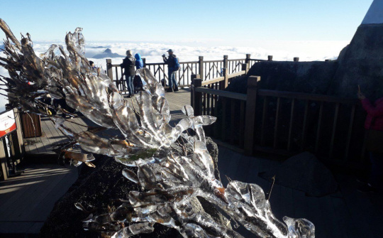 Ngắm hình ảnh kỳ ảo của đợt băng giá cuối tháng 11 trên đỉnh Fansipan