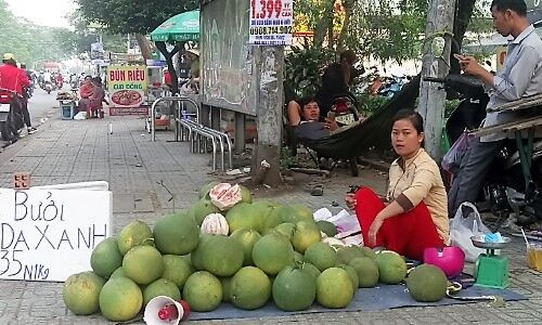 Bưởi da xanh giá rẻ chất đống vỉa hè Sài Gòn