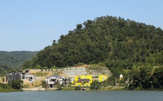 Thanh tra toàn diện việc quản lý, sử dụng đất rừng ở huyện Sóc Sơn