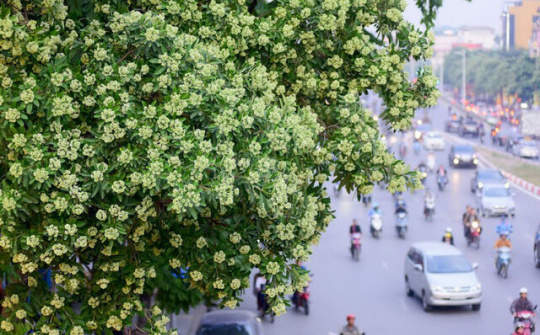 Dự báo thời tiết 4/11: Hà Nội sáng sớm có sương mù nhẹ, ngày nắng