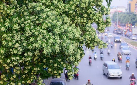 Dự báo thời tiết 4/11: Hà Nội sáng sớm có sương mù nhẹ, ngày nắng