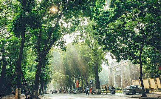 Dự báo thời tiết 5/11: Miền Bắc có sương mù, Hà Nội trời nắng