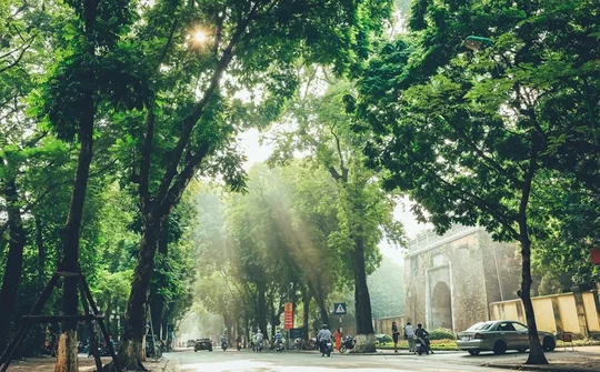 Dự báo thời tiết 5/11: Miền Bắc có sương mù, Hà Nội trời nắng