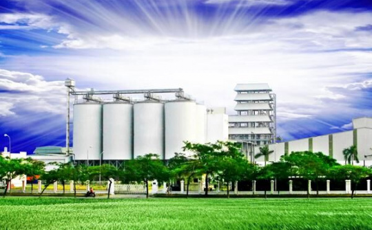 Thương hiệu Vodka Hà Nội trượt dài trong thua lỗ