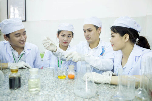 Sửa đổi, bổ sung Luật GD đại học: Quy định 3 trình độ phù hợp thông lệ quốc tế