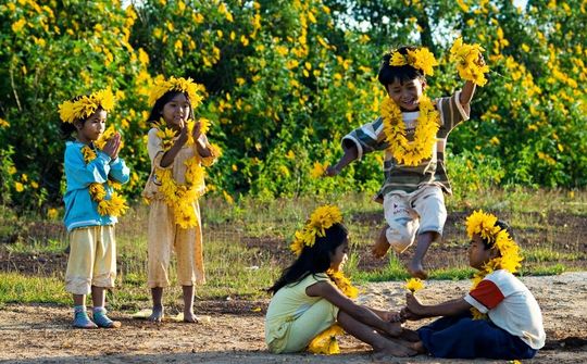 Dự báo thời tiết 1/12: Bắc Bộ tăng nhiệt, trưa chiều trời nắng ấm