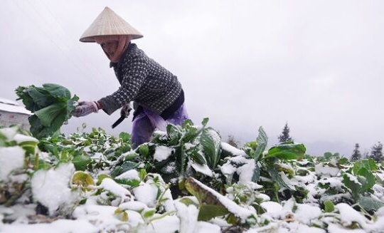 Dự báo thời tiết 12/12: Miền Bắc rét đậm, miền Trung mưa lớn 5 ngày tới