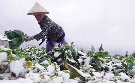 Dự báo thời tiết 12/12: Miền Bắc rét đậm, miền Trung mưa lớn 5 ngày tới