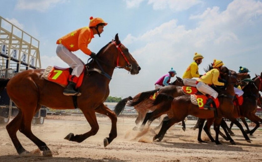 Huyện Sóc Sơn sắp có trường đua ngựa 420 triệu USD 