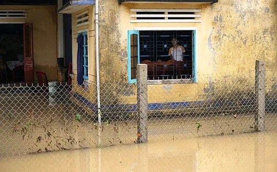 Lũ rút, Miền Trung thiệt hại nặng nề về người và của 