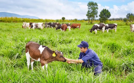Vinamilk và những cột mốc quan trọng trong hành trình phát triển