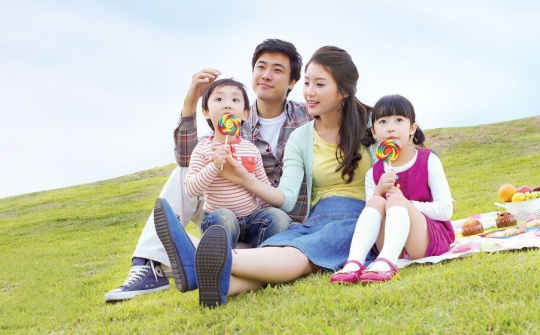 Chấn chỉnh việc thống kê, đánh giá về phòng chống bạo lực gia đình