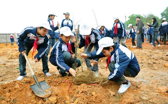 Phát động Tết trồng cây Xuân Kỷ Hợi 2019