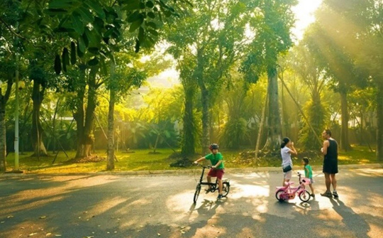 Dự báo thời tiết 17/12: Bắc Bộ hửng nắng, Trung Bộ có mưa