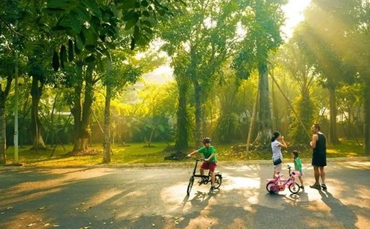 Dự báo thời tiết 17/12: Bắc Bộ hửng nắng, Trung Bộ có mưa