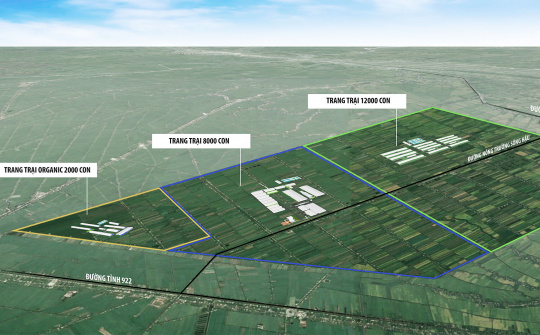 Trang trại bò sữa tại cần thơ - Bước phát triển nâng tầm chiến lược
