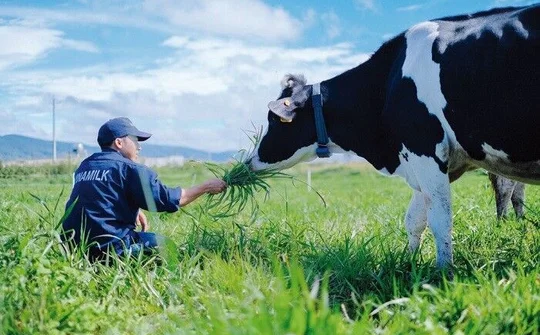 Vinamilk sẽ đầu tư trang trại 6.000ha tại Cần Thơ, bao gồm trang trại organic thứ 3