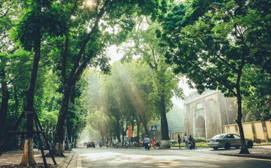 Dự báo thời tiết 2/12: Miền Bắc có sương mù buổi sáng sớm, trưa chiều nắng đẹp